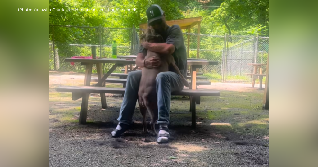 Watch the emotional moment a dog whose owner died in a crash is reunited with his family