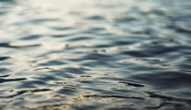 DEP confirms 1,000 gallons of oil leaked into Pgh. waterway