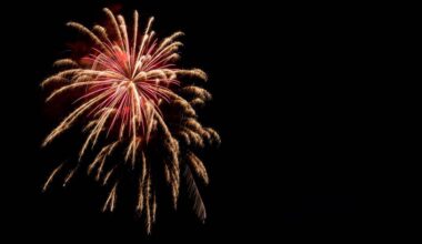 ‘Numerous’ arrests made following Upper Darby fireworks show