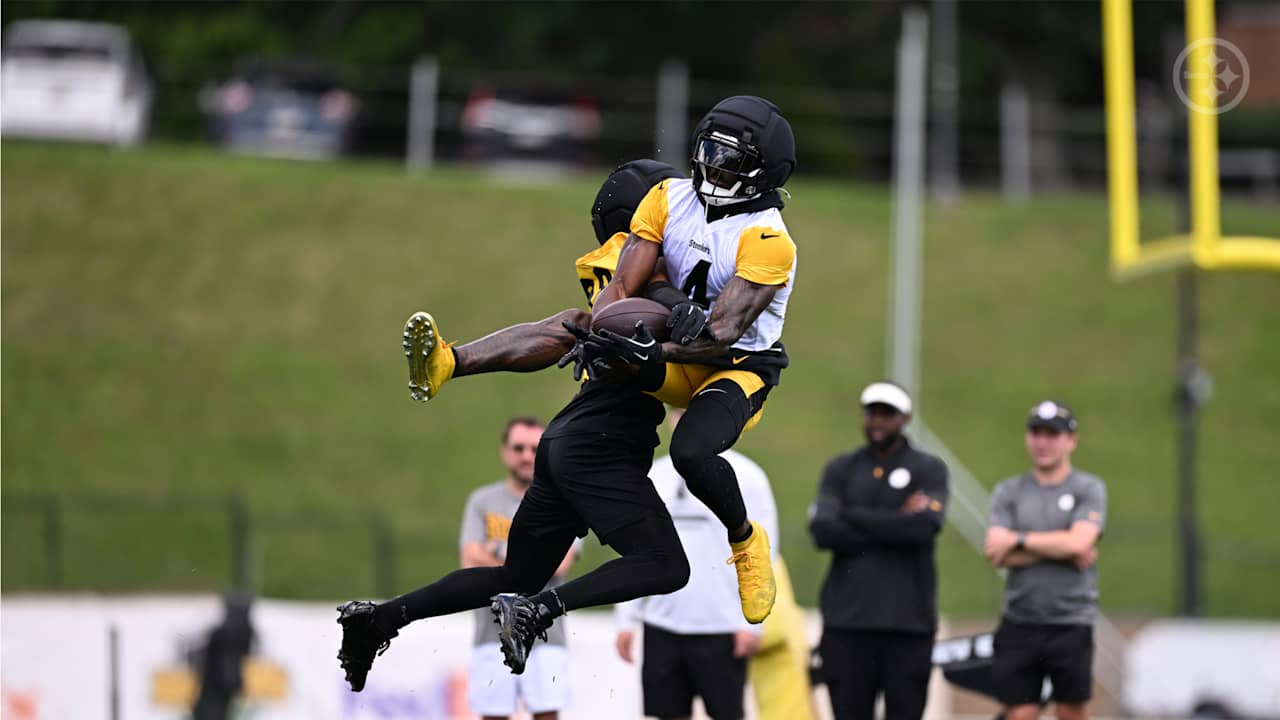 Pittsburgh Steelers logo