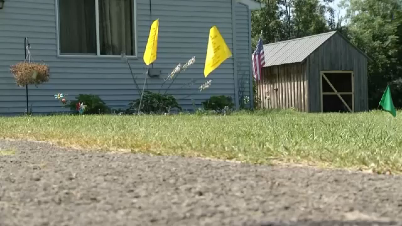 Radioactive pollution was detected in the yards of at least 120 homes in Niagara County.