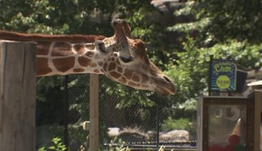 Philadelphia Zoo "so unbelievably proud of our past" as America's 1st zoo looks to future