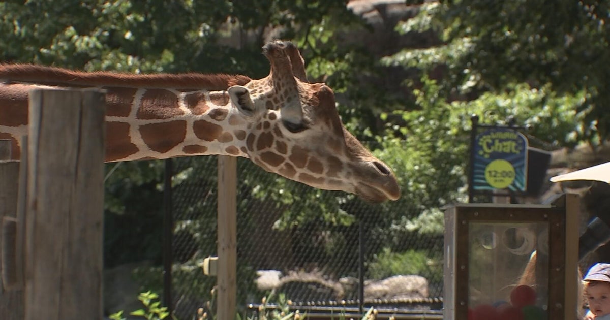 Philadelphia Zoo "so unbelievably proud of our past" as America's 1st zoo looks to future