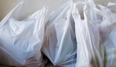 Survey finds Philly businesses not complying with plastic bag ban – NBC10 Philadelphia