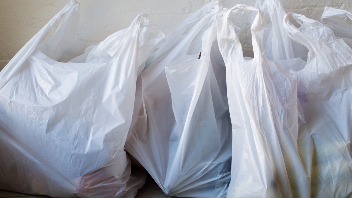 Survey finds Philly businesses not complying with plastic bag ban – NBC10 Philadelphia