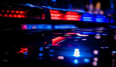 Pennsylvania woman hit, killed by falling tree branch