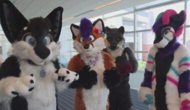 Organizers of Anthrocon's 20th anniversary in Pittsburgh prepared for high temperatures
