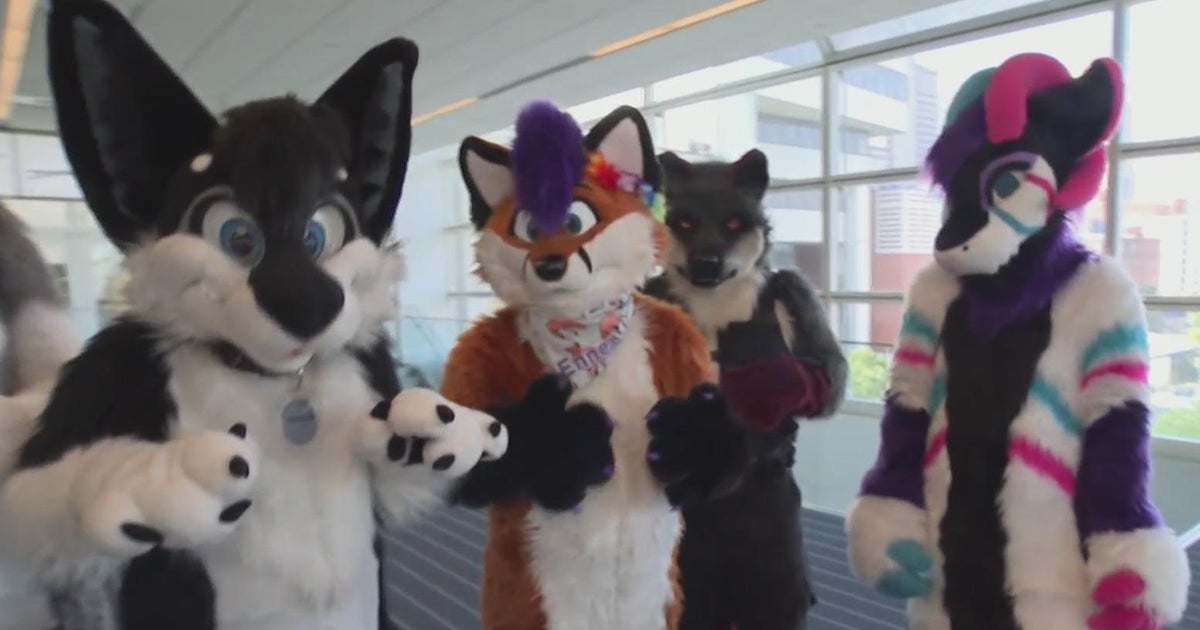 Organizers of Anthrocon's 20th anniversary in Pittsburgh prepared for high temperatures