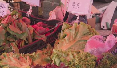 Cyclosporiasis outbreak has shoppers buying local produce, Pittsburgh farmers market says