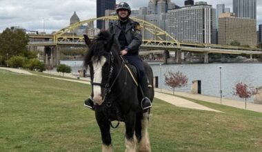 Pittsburgh Police mourns loss of equine officer