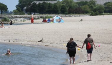 Deluge brings beach and mosquito warnings