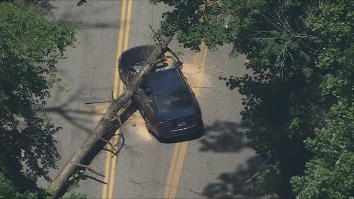 2 adults, 1 girl hurt after large tree falls onto car in Pa. – NBC10 Philadelphia