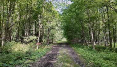 Volunteers push to complete 27-mile Erie Cattaraugus Rail Trail