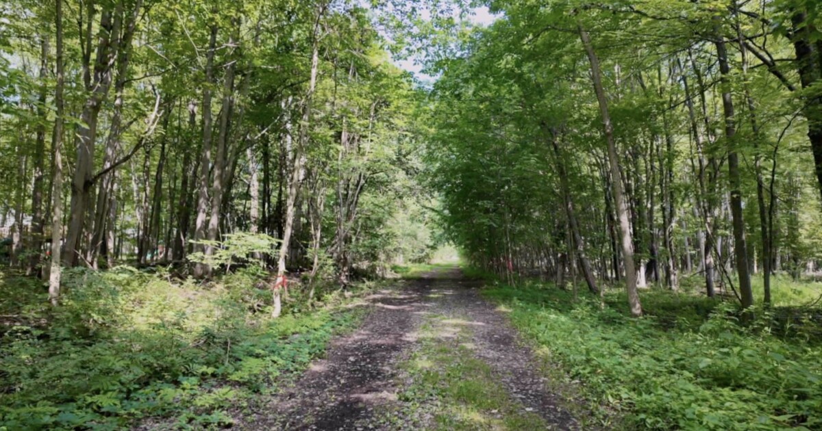Volunteers push to complete 27-mile Erie Cattaraugus Rail Trail