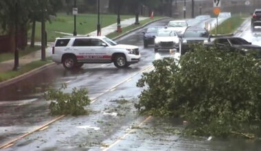 Philadelphia Area Digs Out From Damage Left by a Severe Series of Microburst Storms