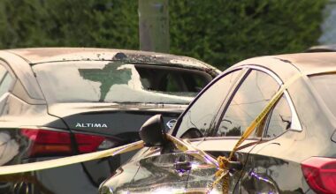 Woman fatally struck while crossing street in Southwest Philadelphia hit-and-run