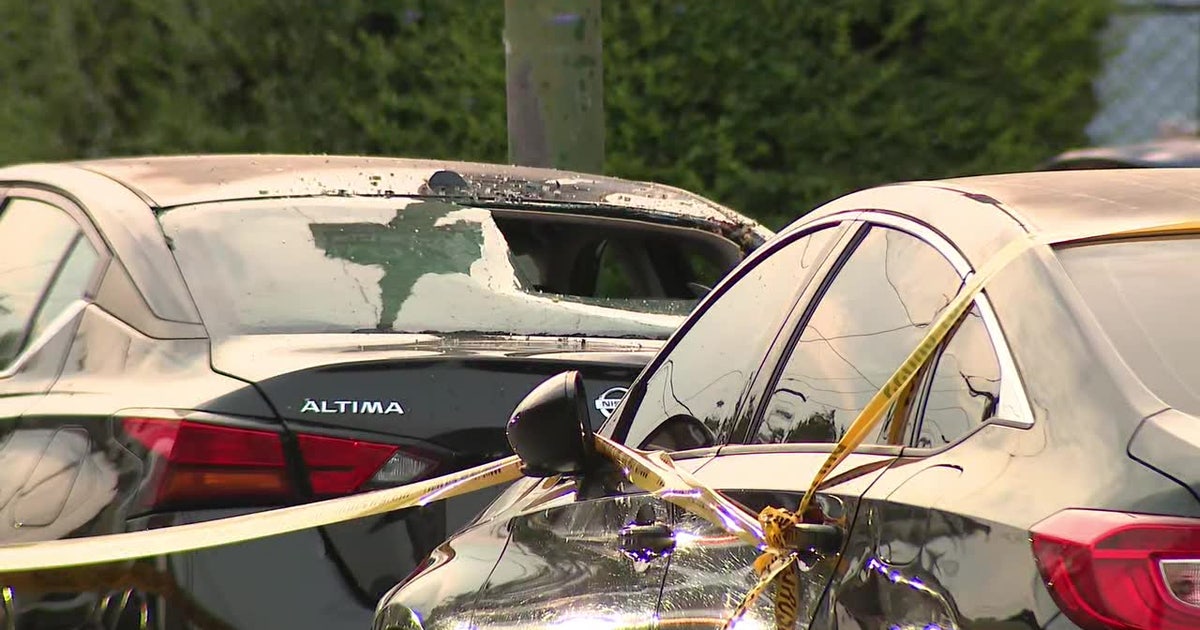 Woman fatally struck while crossing street in Southwest Philadelphia hit-and-run