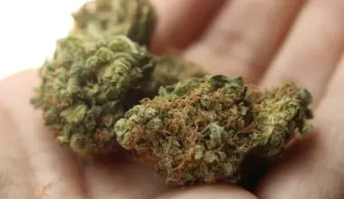 New Pennsylvania Bill Would Award Medical Marijuana Licenses To Small, Diverse and Disadvantaged Businesses