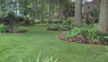 Wexford homeowners to open up their gardens for a good cause this weekend