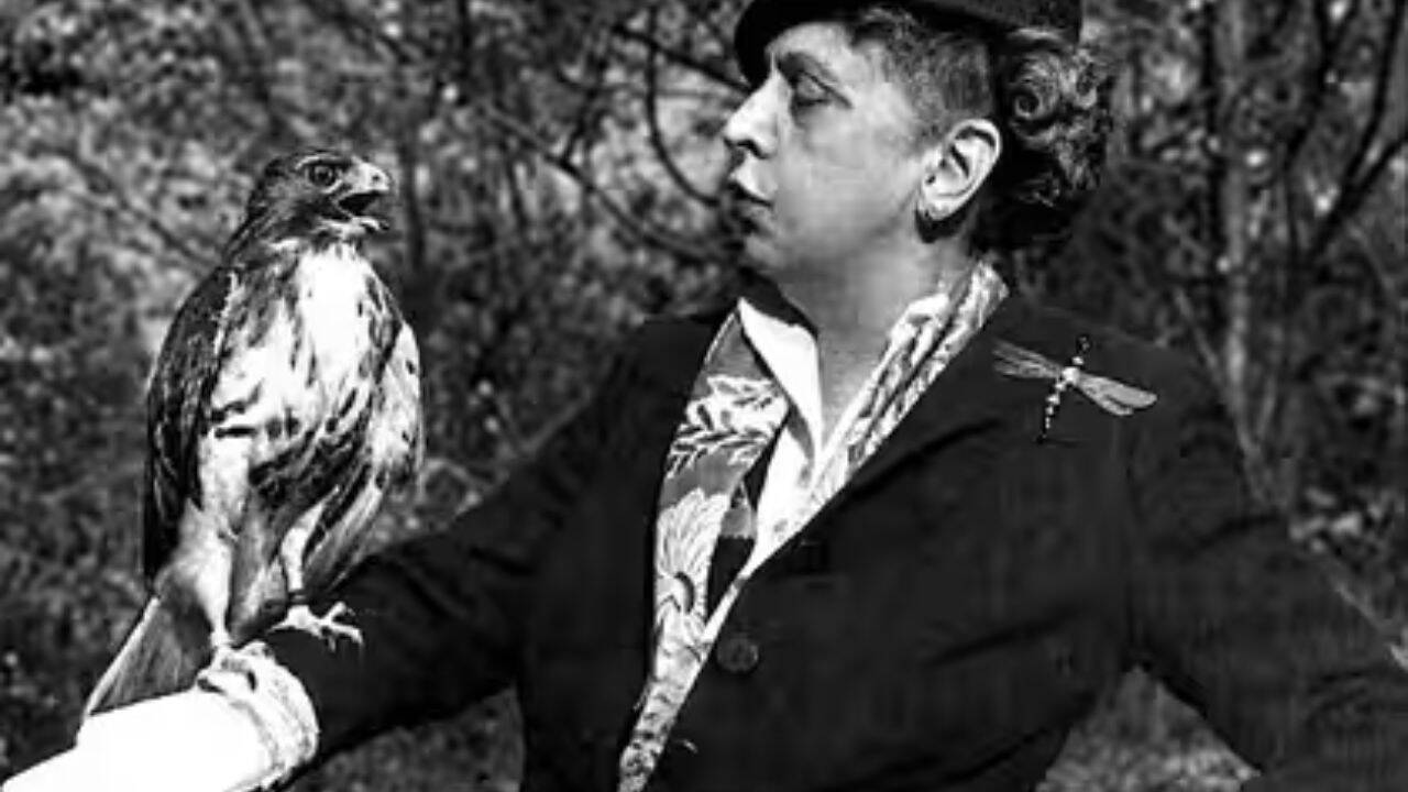 When migration attracted hunters instead of birdwatchers