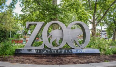 ‘Zoo Done It?’ returns to Philadelphia Zoo – NBC10 Philadelphia