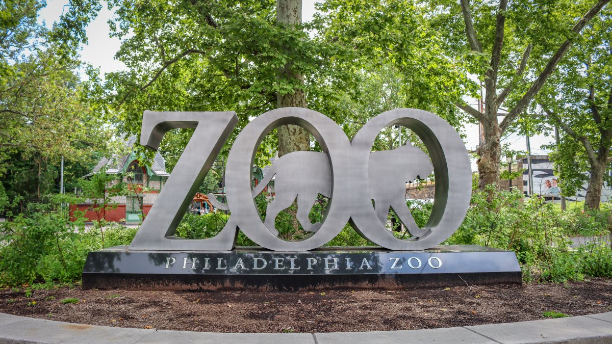 ‘Zoo Done It?’ returns to Philadelphia Zoo – NBC10 Philadelphia