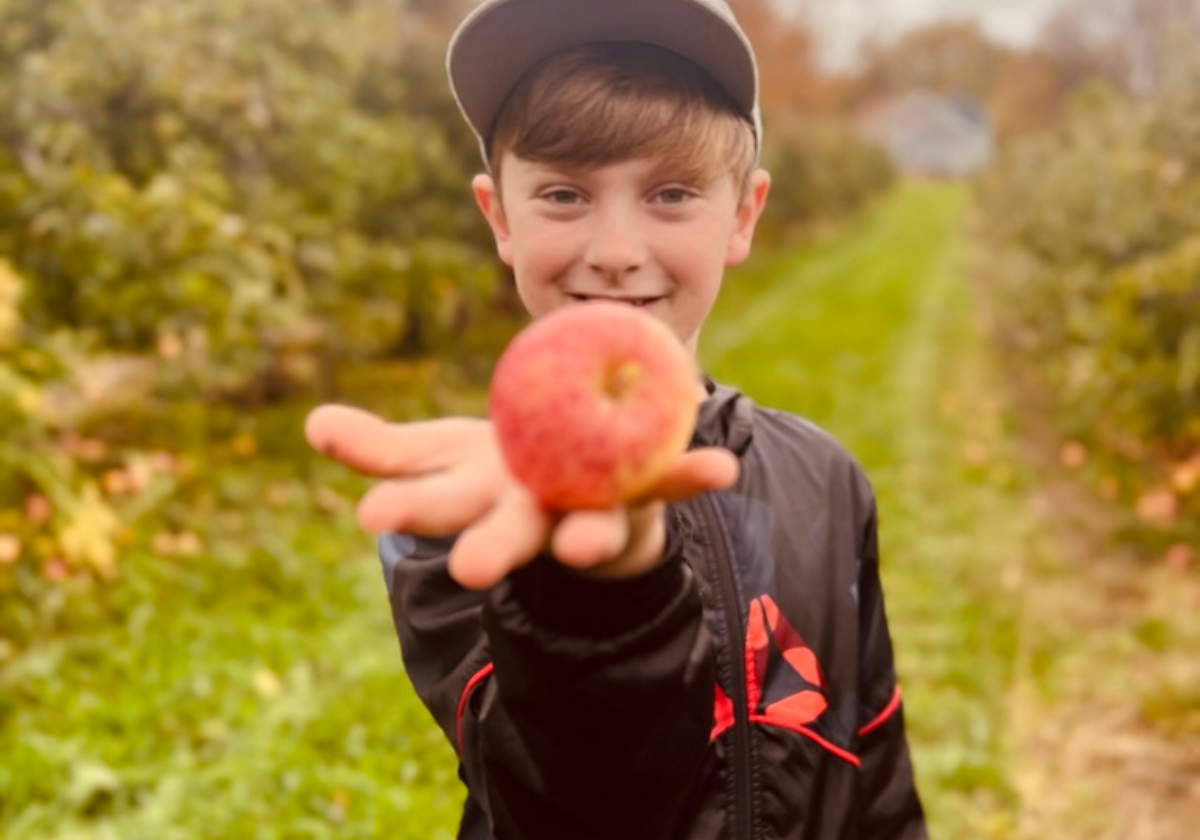 Pick your own apples in Erie PA
