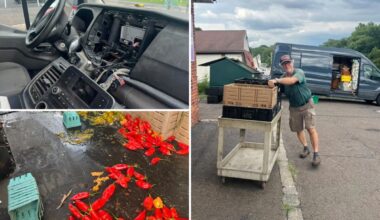 Pennsylvania community raises thousands for small farm after carjacking left thousands in produce losses