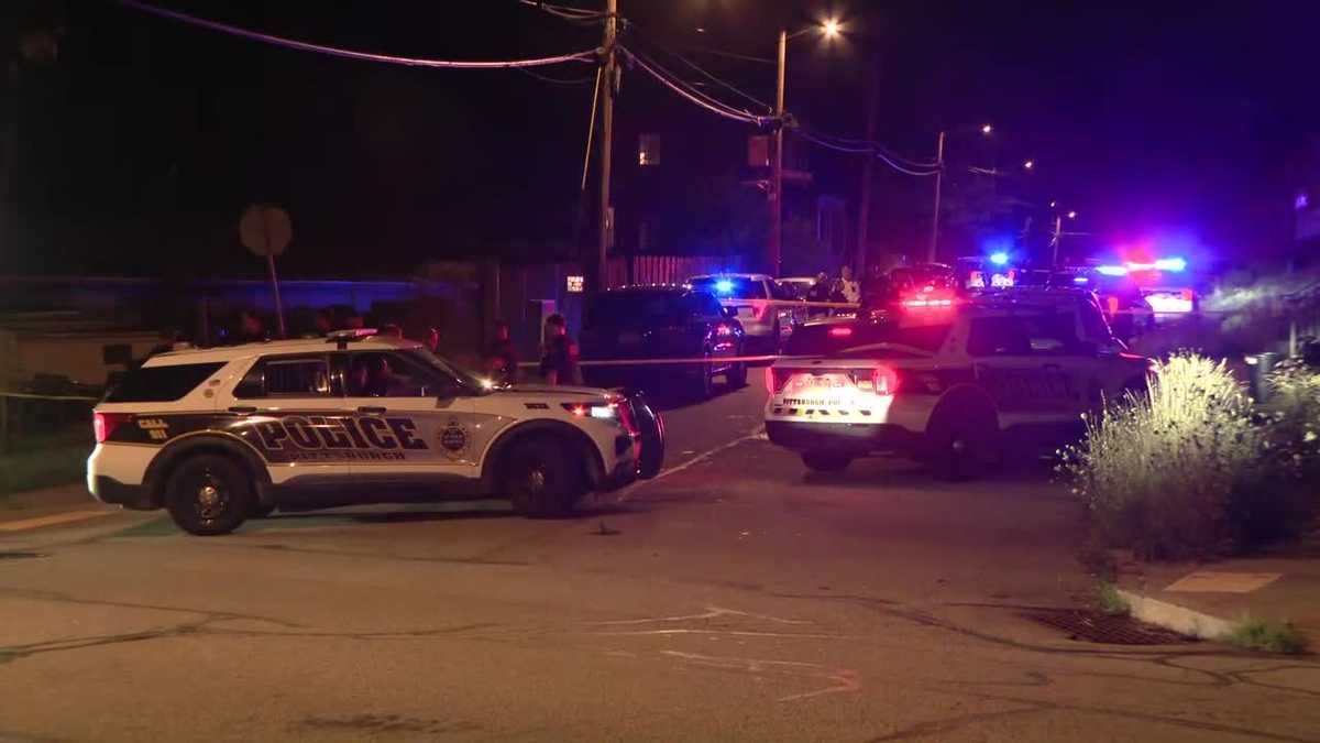 Pittsburgh Police: 'Critical incident' in Lincoln-Lemington