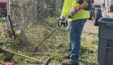 City cleans up overgrown yards at vacant homes after CBS News Philadelphia story