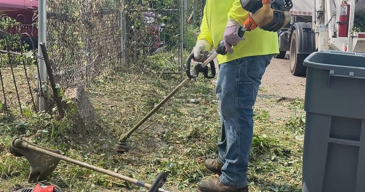 City cleans up overgrown yards at vacant homes after CBS News Philadelphia story