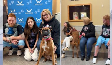 Missing Pennsylvania dog found in Wisconsin; reunited with owners