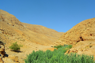 Wadi Qelt, east of Jerusalem, on the way to Jericho. Photo by Nour Tayeh on Unsplash