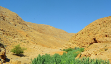 Wadi Qelt, east of Jerusalem,  on the way to Jericho.   Photo by Nour Tayeh on Unsplash