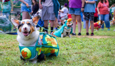 Low and Behold: Corgi Fest Returns for Seventh Year to Frontier Park
