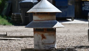 Tower behind Erie Chamber of Commerce building gets scrapped, but historic group saves old siren