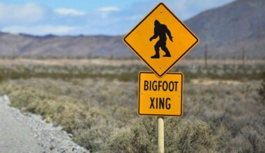 Two separate mini-Bigfoot sightings reported in an area of Pennsylvania with a history of activity