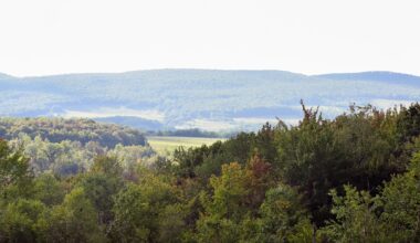 PPL secures 11-plus square miles in Archbald, Upvalley for power plants