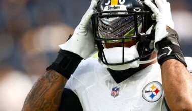 REPORT-Steelers release veteran LB Elandon Roberts