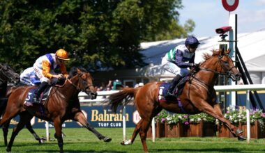 Zavateri ready for City of York test