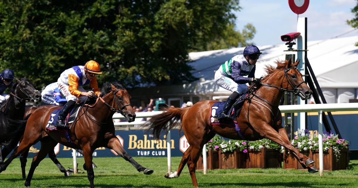 Zavateri ready for City of York test