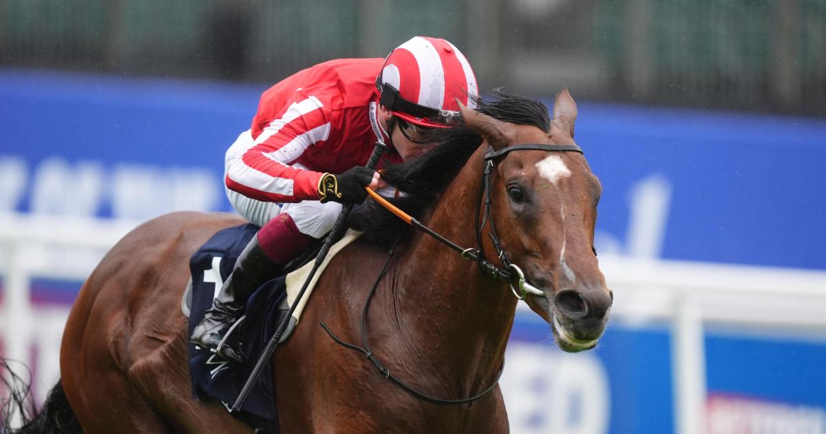 Bay City ready to roll in Prix Foy