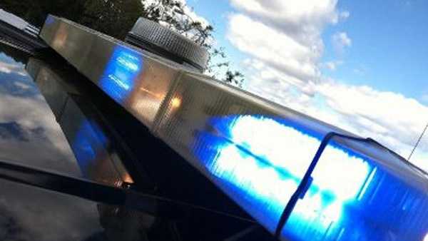 Dog stabbed in Pittsburgh apartment; man faces cruelty charge