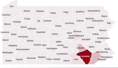Pennsylvania reports 9 new measles cases in three counties