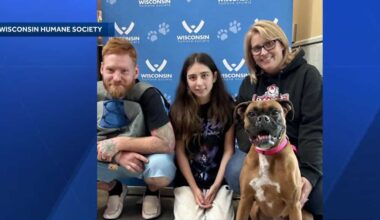 Dog missing for two years in Pennsylvania found in Wisconsin