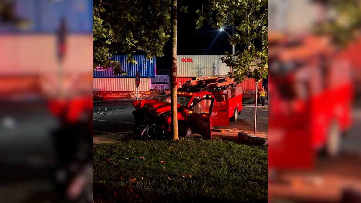 Bystanders, firefighters rescue driver before train hits truck