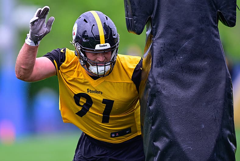 Pittsburgh Steelers DE Logan Lee