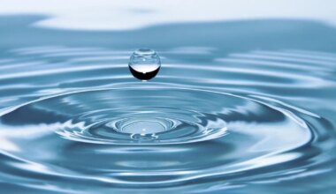 Bethlehem City Council OKs agreement for wastewater treatment plant violations | Bethlehem Area