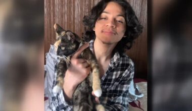 Family, friends gather to remember Reading teen shot and killed in City Park | Berks Regional News
