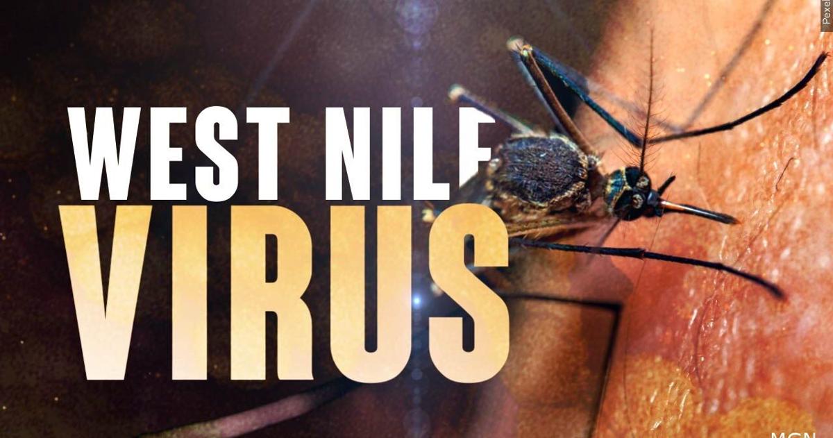Wyomissing mosquito sample tests positive for West Nile Virus in Berks County | Reading Area